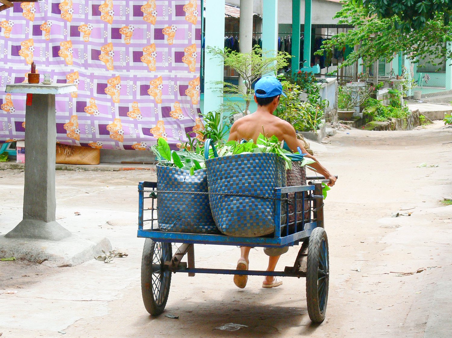 Một ngọn núi cao ở An Giang, lên đến nơi thấy dân gánh vô số trái cây, sầu riêng là thứ quả ngon nhất - Ảnh 6.