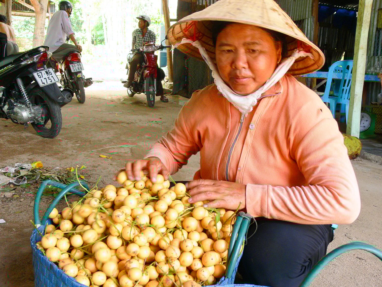 Một ngọn núi cao ở An Giang, lên đến nơi thấy dân gánh vô số trái cây, sầu riêng là thứ quả ngon nhất - Ảnh 7.