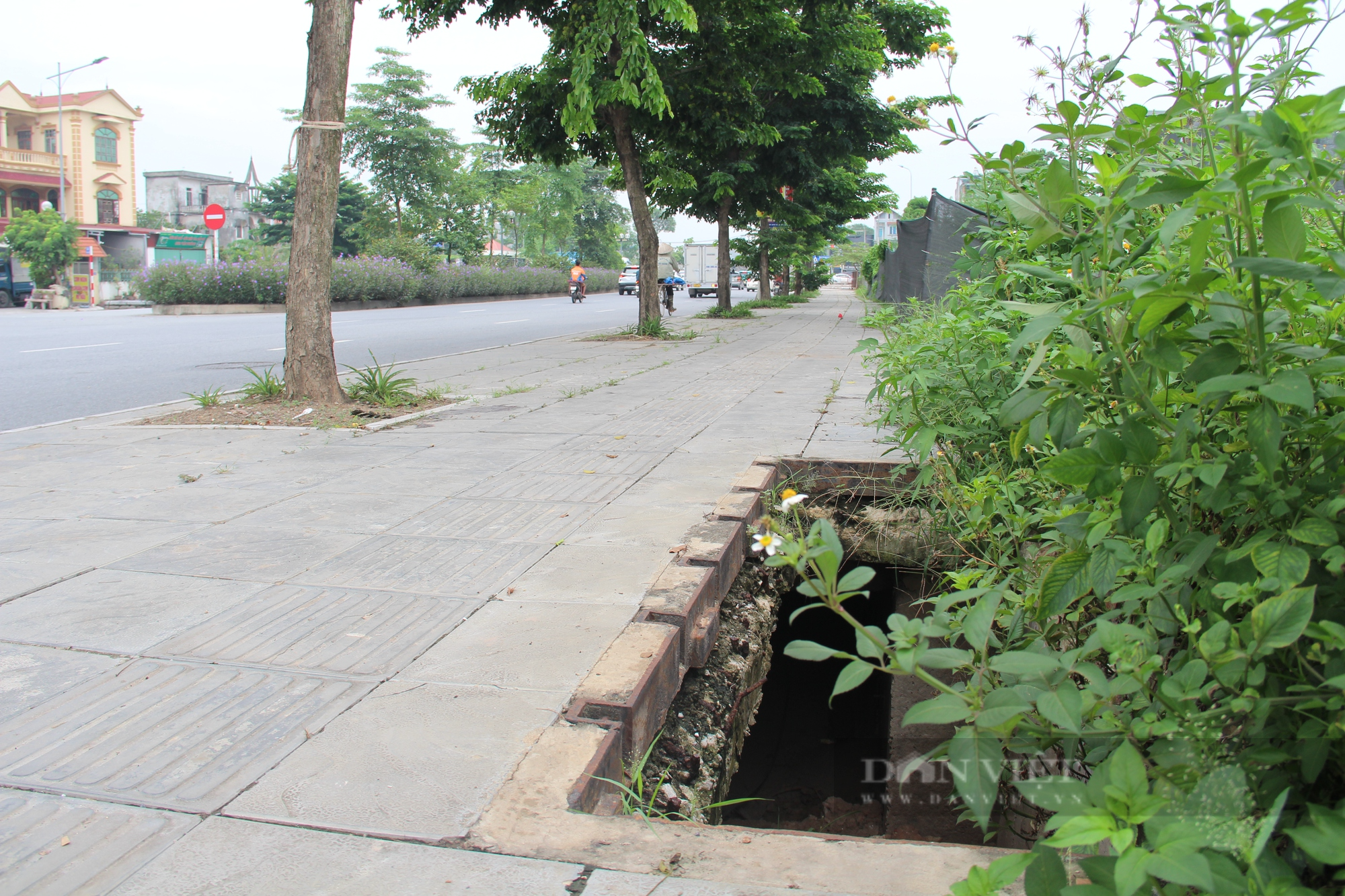 Nhiều hố ga ở Thủ đô mất nắp, &quot;giăng bẫy&quot; người đi đường - Ảnh 1.