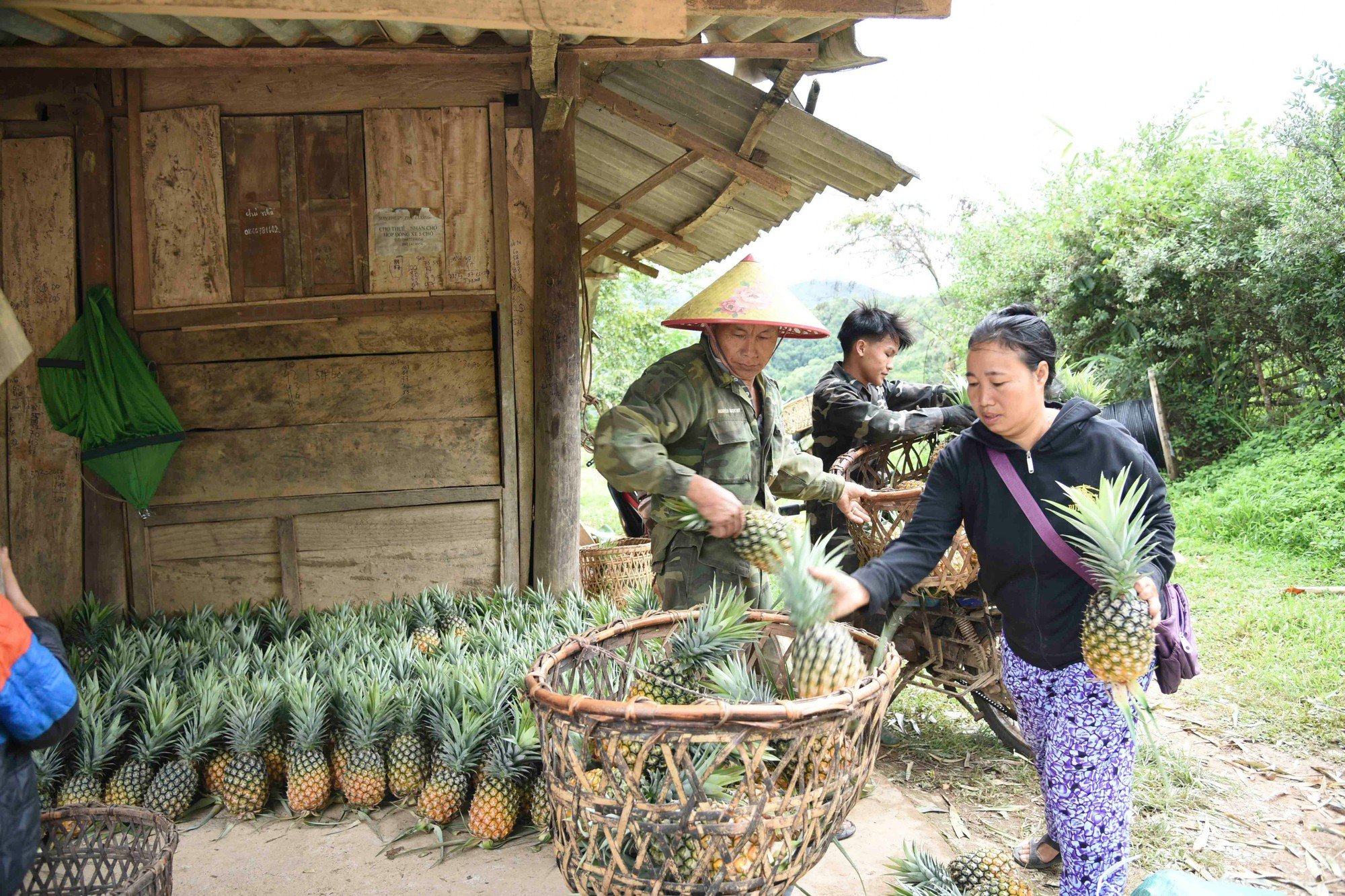 Điện Biên: Đưa công nghệ thông tin vào kinh doanh, chuyển đổi số đối với các HTX vùng đồng bào dân tộc thiểu số- Ảnh 2.