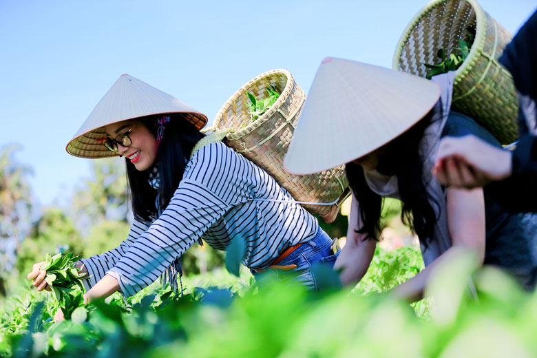 Bộ trưởng Lê Minh Hoan: Tích hợp phát triển du lịch nông nghiệp: Hai là một - Một của hai    - Ảnh 4.