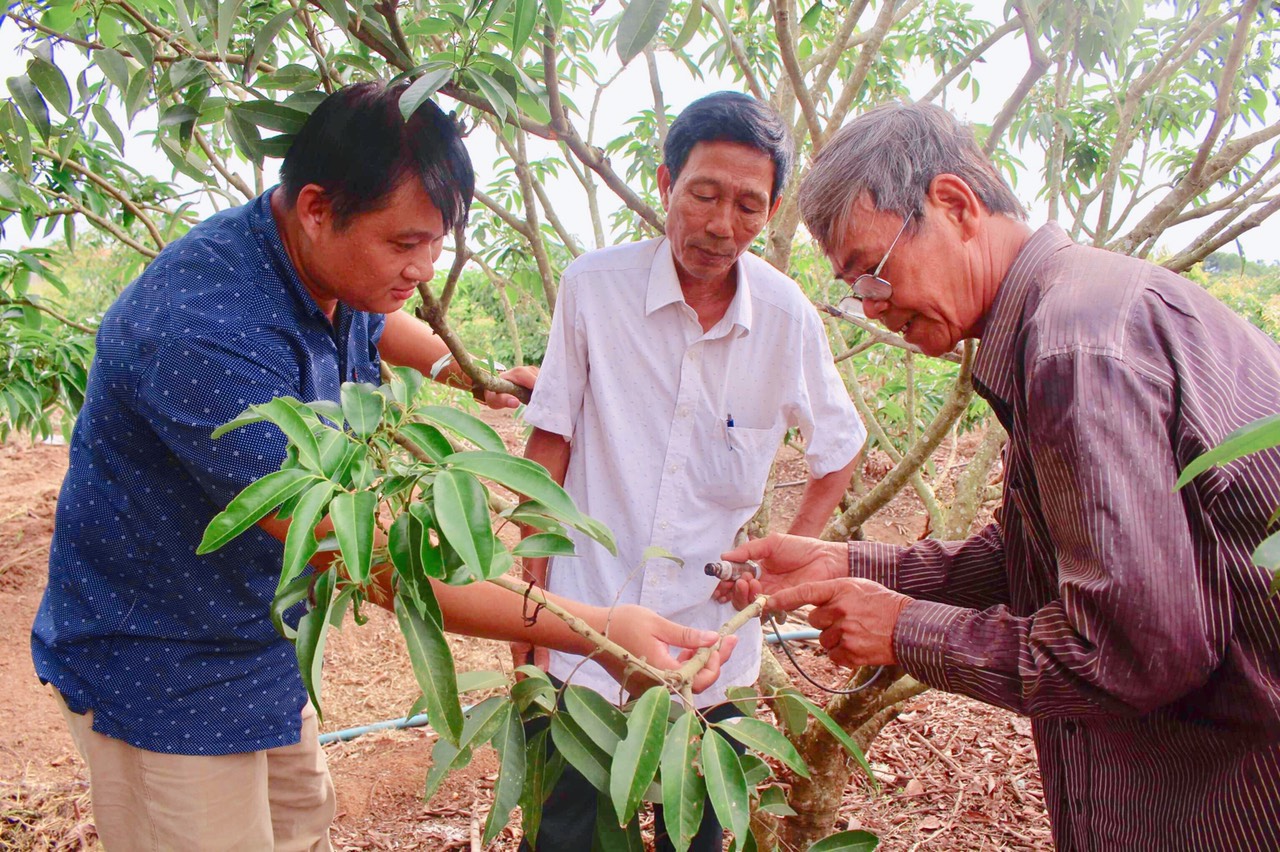 Đắk Lắk: Chú trọng thực hiện công tác đền ơn đáp nghĩa - Ảnh 4.