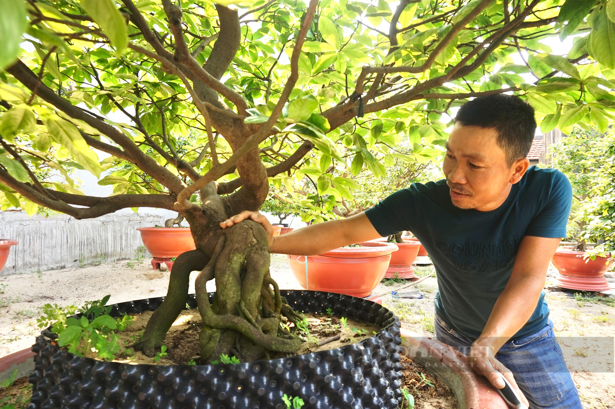 Hội Nông dân tỉnh Quảng Nam chuẩn bị sẵn sàng cho Đại hội nhiệm kỳ 2023-2028  - Ảnh 7.