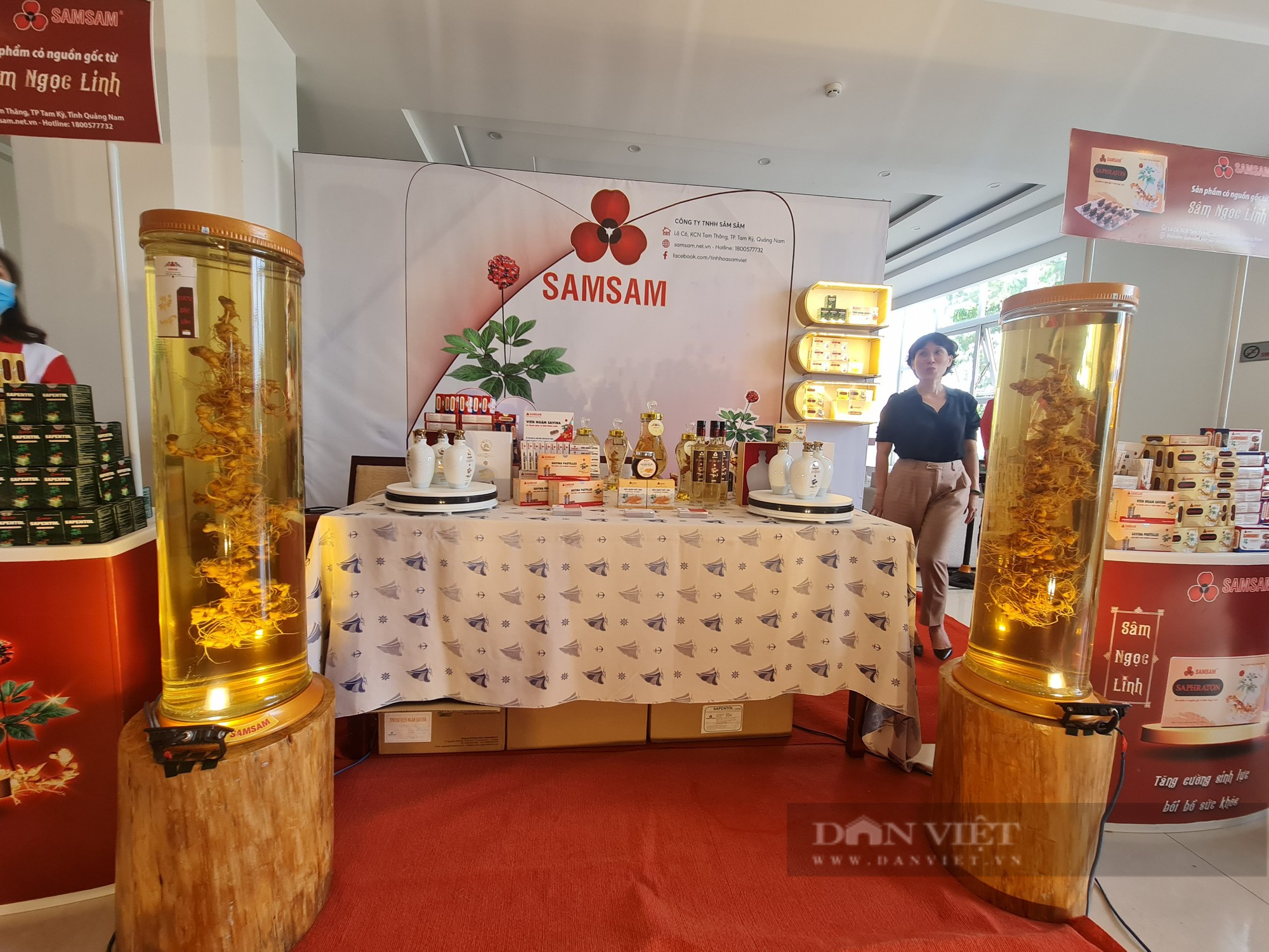 Bình rượu gần 2kg sâm Ngọc Linh củ, giá nửa tỷ đồng ở Quảng Nam có gì đặc biệt - Ảnh 9.