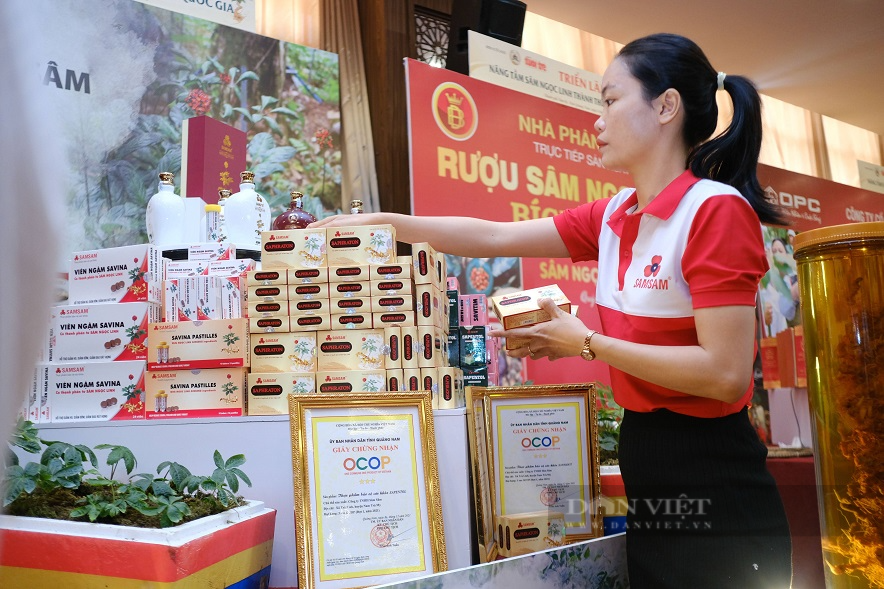 Bình rượu gần 2kg sâm Ngọc Linh củ, giá nửa tỷ đồng ở Quảng Nam có gì đặc biệt - Ảnh 10.