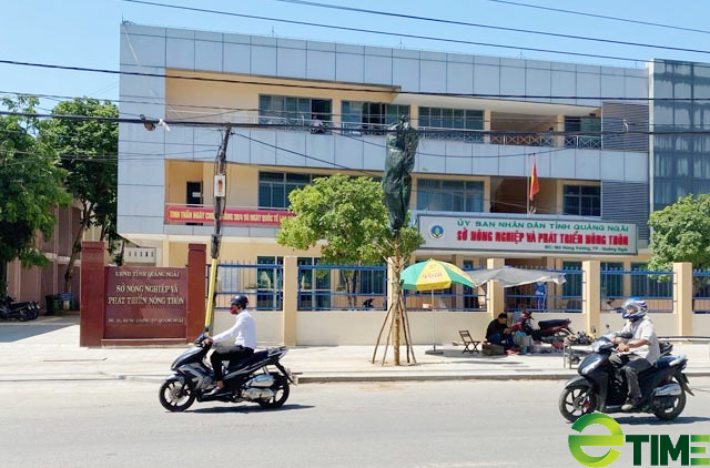 Quảng Ngãi đồng ý cho nuôi cá tại 10 hồ chứa ở 8 huyện, thị - Ảnh 5. Quảng Ngãi đồng ý cho nuôi cá tại 10 hồ chứa ở 8 huyện, thị - Ảnh 5.