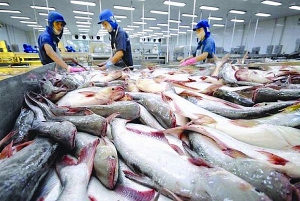 Cú hích để tái cơ cấu chuỗi sản xuất toàn ngành thủy sản - Ảnh 2.