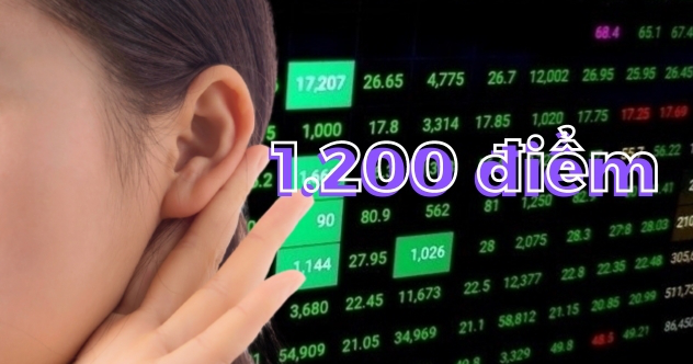 Câu chuyện 1.200 điểm của VN-Index - Ảnh 1.