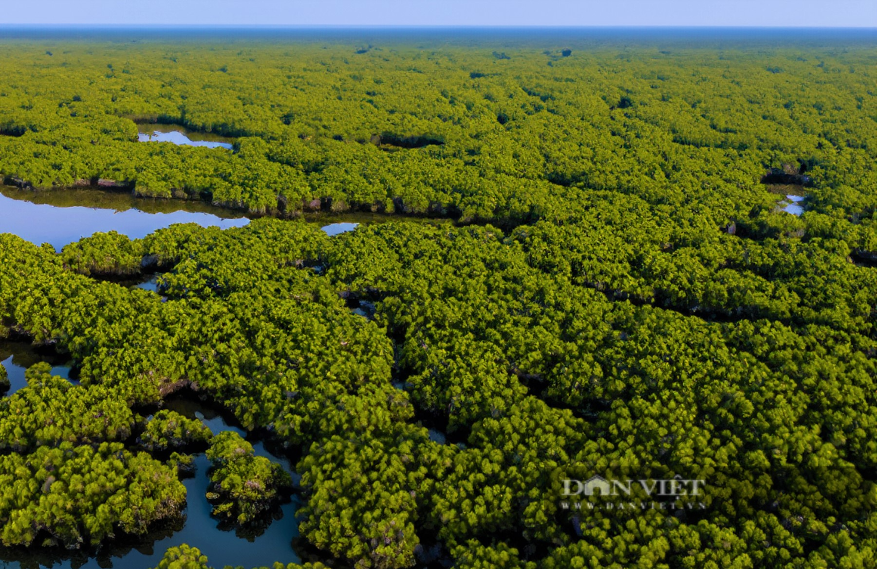 Thiên nhiên yên bình trong Vườn quốc gia Xuân Thủy - khu Ramsar đầu tiên của Đông Nam Á - Ảnh 2.