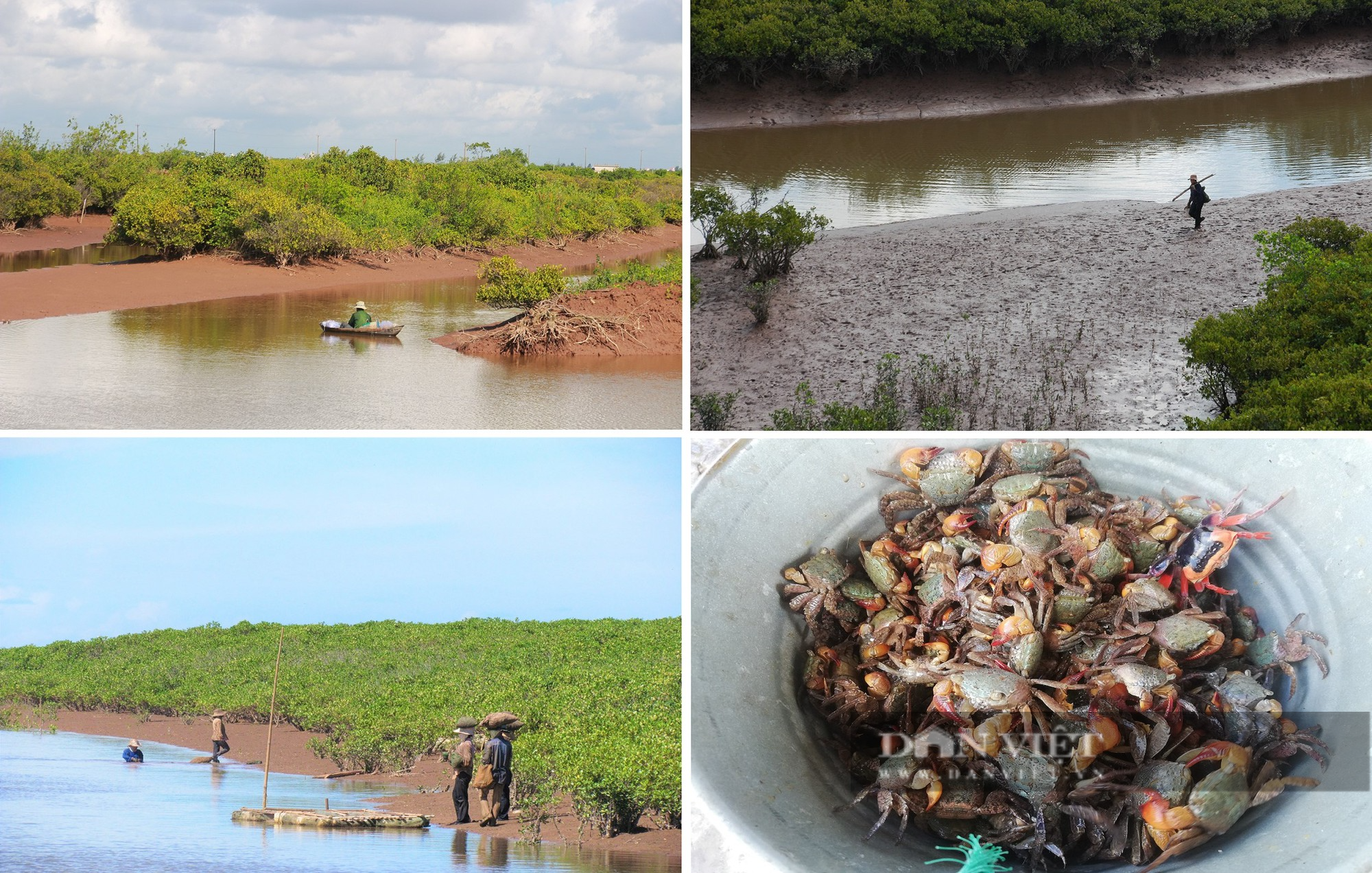 Thiên nhiên yên bình trong Vườn quốc gia Xuân Thủy - khu Ramsar đầu tiên của Đông Nam Á - Ảnh 9.