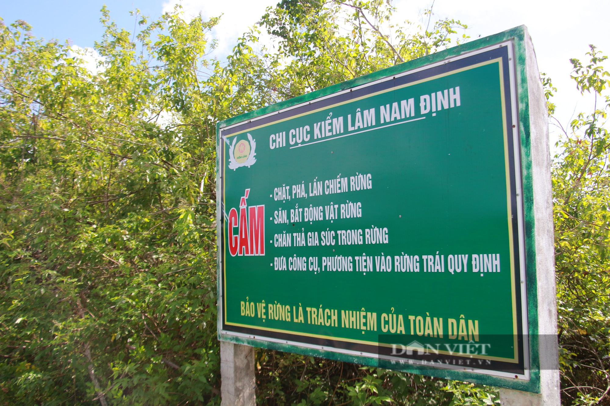 Thiên nhiên yên bình trong Vườn quốc gia Xuân Thủy - khu Ramsar đầu tiên của Đông Nam Á - Ảnh 12.