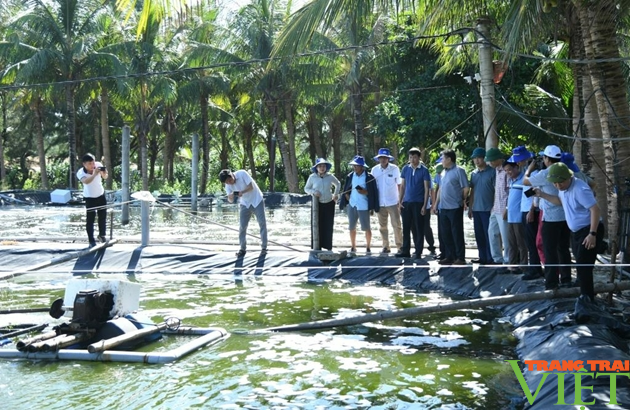 Quảng Bình: Nuôi tôm công nghệ 2 giai đoạn trong ao lót bạt giúp nông dân giảm chi phí, tăng hiệu quả - Ảnh 2.