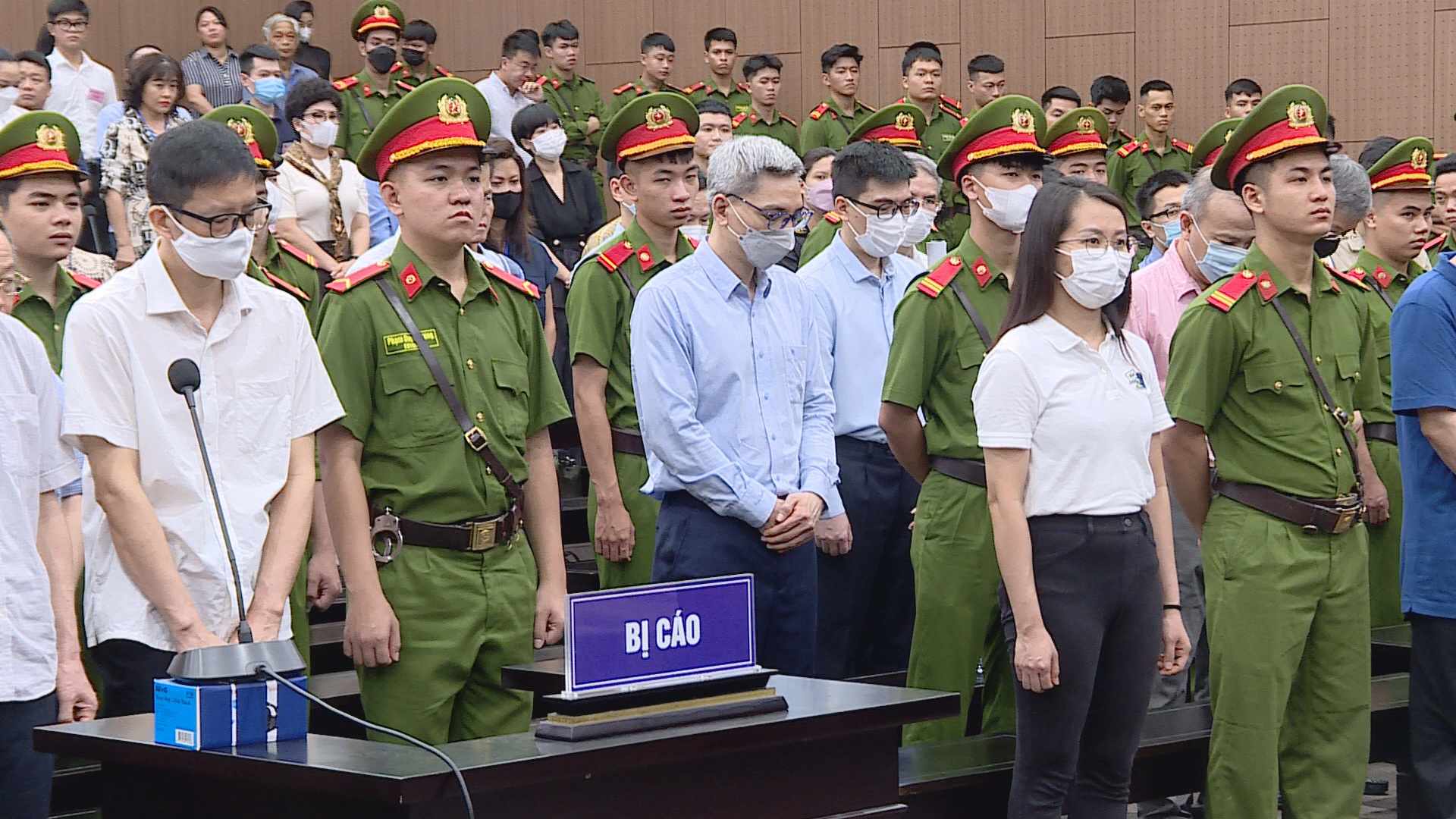 Vụ chuyến bay giải cứu: Nhiều bị cáo là giám đốc doanh nghiệp được tự do sau khi tuyên án - Ảnh 1.