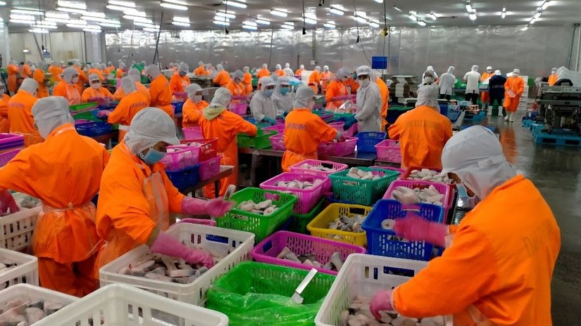 Vì đâu lợi nhuận Nam Việt (ANV) lỗ tới 51 tỷ đồng trong quý II/2023. - Ảnh 1. Vì đâu lợi nhuận Nam Việt (ANV) lỗ tới 51 tỷ đồng trong quý II/2023. - Ảnh 1.