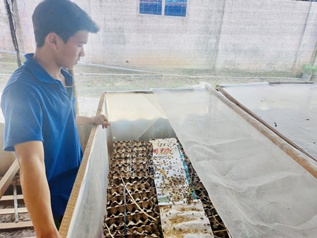 Nuôi dày đặc con ăn rau cỏ, bé tí ti, nhanh được bán, anh nông dân Tiền Giang tự trả lương tốt cho mình - Ảnh 2.
