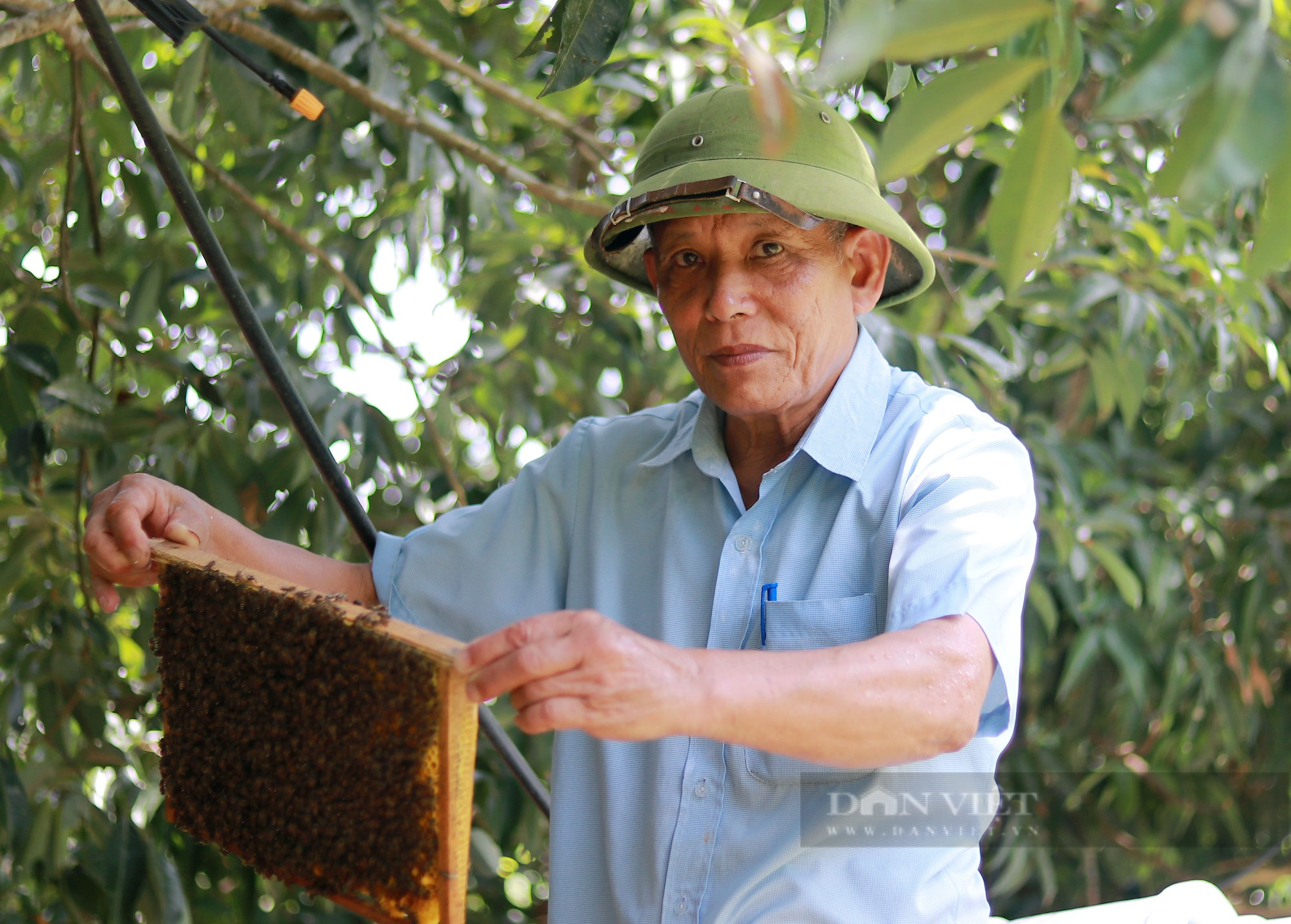 Cựu thanh niên xung phong “một vai hai gánh” đi đầu phát triển kinh tế vườn mẫu - Ảnh 5.