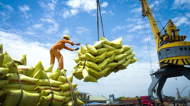 Thủ tướng muốn đẩy mạnh xuất khẩu gạo sang châu Âu, Hàn Quốc, Mỹ - Ảnh 1.