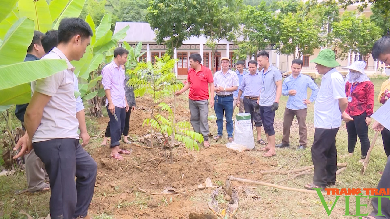 Nông dân Mường La nhân rộng nhiều mô hình kinh tế hiệu quả  - Ảnh 6.