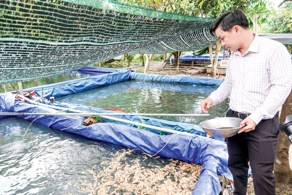 Hậu Giang: Nuôi đàn cá cảnh săn mồi, khách hàng đặt mua số lượng lớn, chàng trai 9X thu hơn nửa tỷ đồng - Ảnh 1.