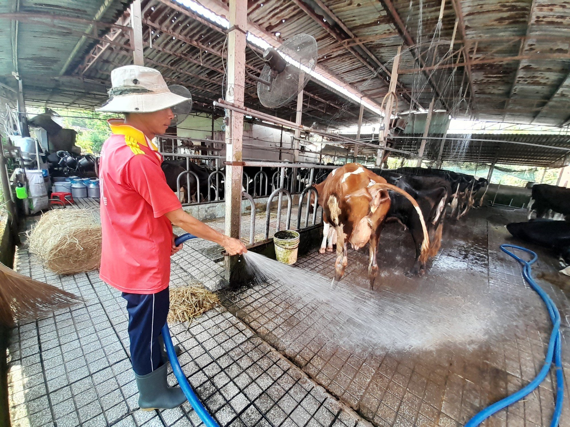 Môi trường nông thôn huyện Củ Chi cơ bản đạt, nhưng thiếu bền vững - Ảnh 5.
