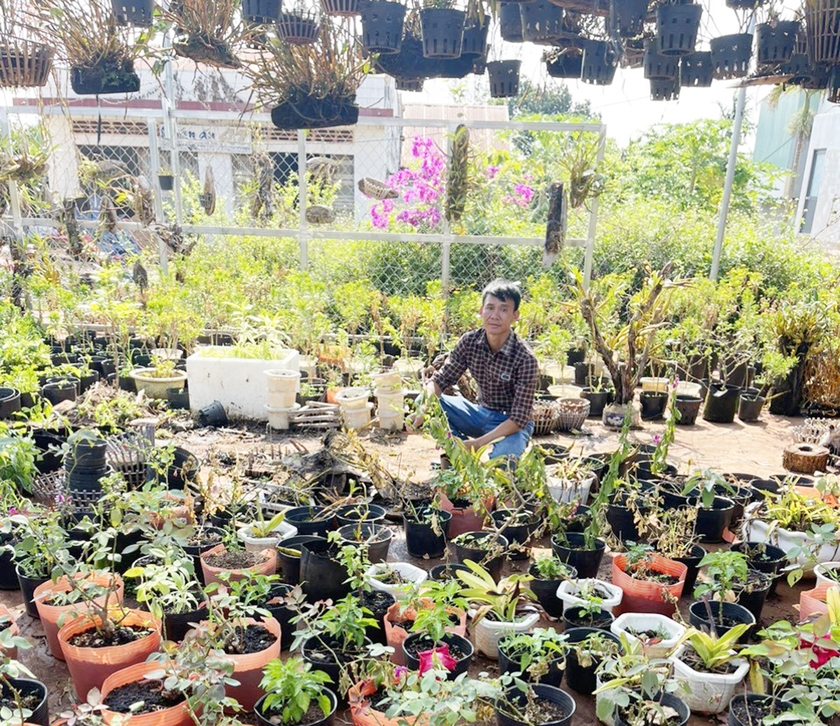 Cầm bằng đại học vào Gia Lai, anh kỹ sư trồng cây cảnh, trồng hoa giấy đẹp như mơ, thành nông dân giỏi - Ảnh 1.