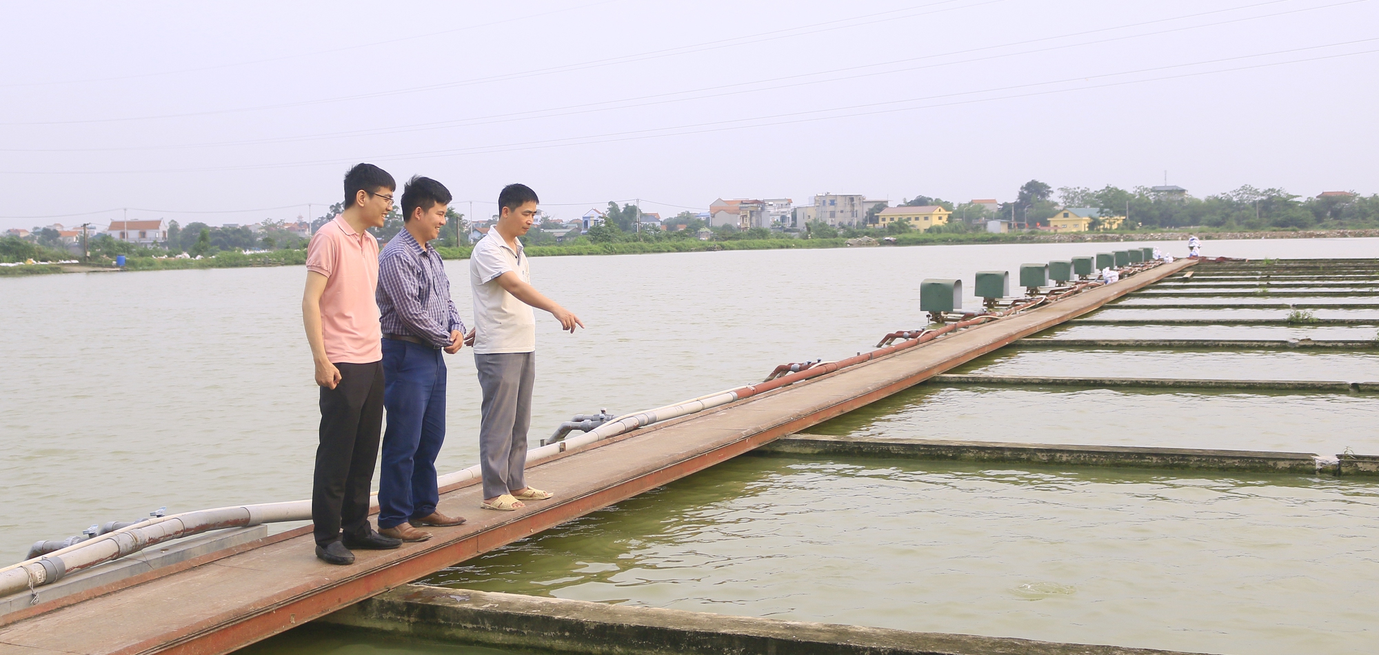 Người đưa cá sông về “tắm” ao, thịt cá săn chắc, ăn thơm ngon đến lạ - Ảnh 2.