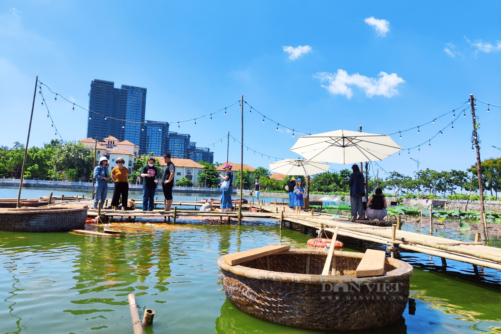 Nắng như &quot;đổ lửa&quot;, nhiều người vẫn đổ về hồ Tây ngắm cá Koi - Ảnh 1.