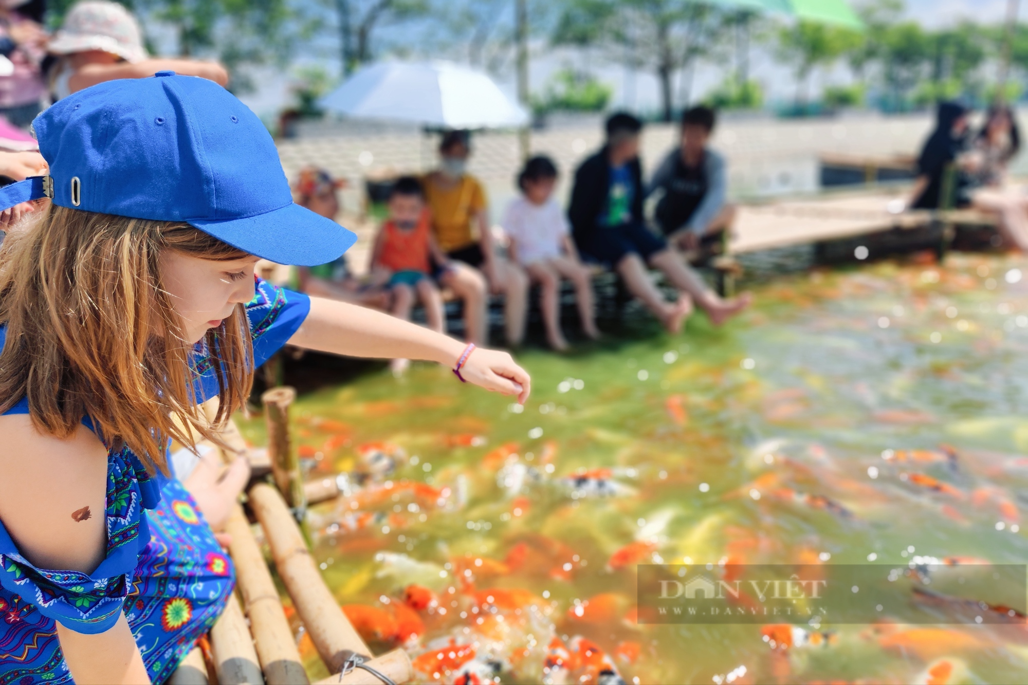 Nắng như &quot;đổ lửa&quot;, nhiều người vẫn đổ về hồ Tây ngắm cá Koi - Ảnh 6.