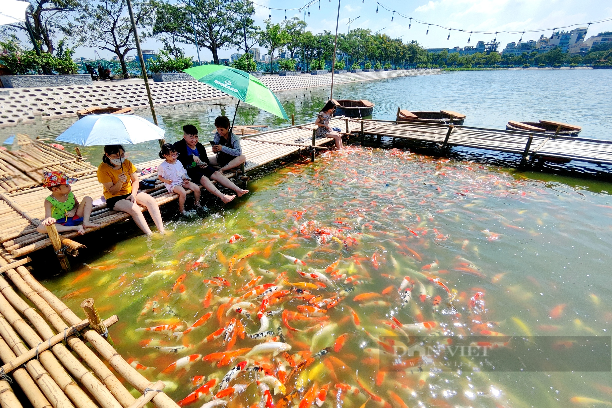 Nắng như &quot;đổ lửa&quot;, nhiều người vẫn đổ về hồ Tây ngắm cá Koi - Ảnh 8.