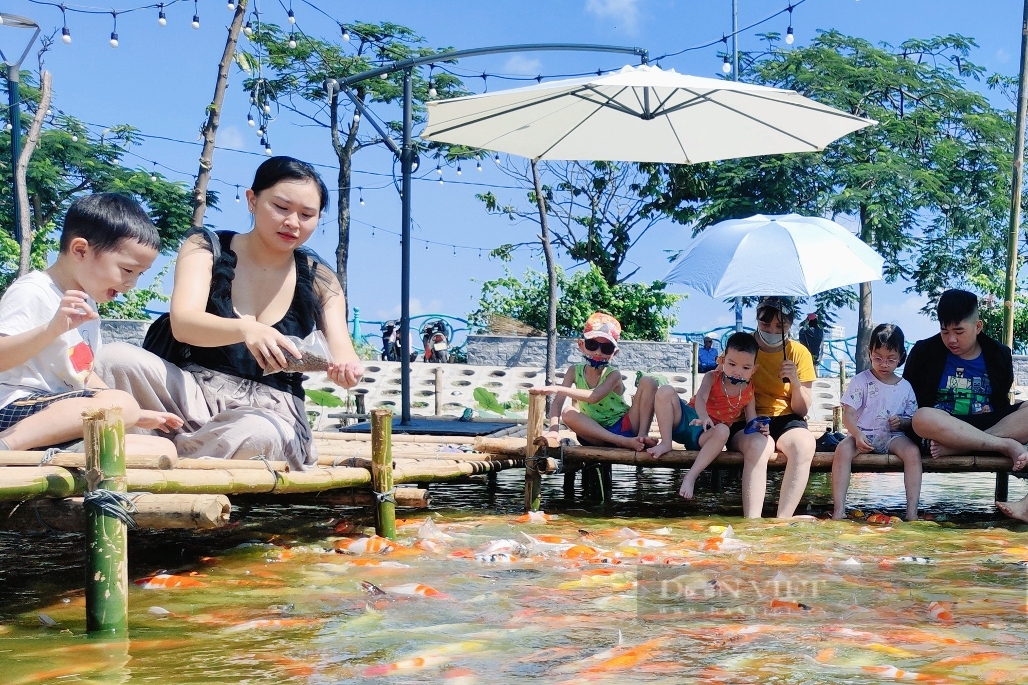 Nắng như &quot;đổ lửa&quot;, nhiều người vẫn đổ về hồ Tây ngắm cá Koi - Ảnh 9.