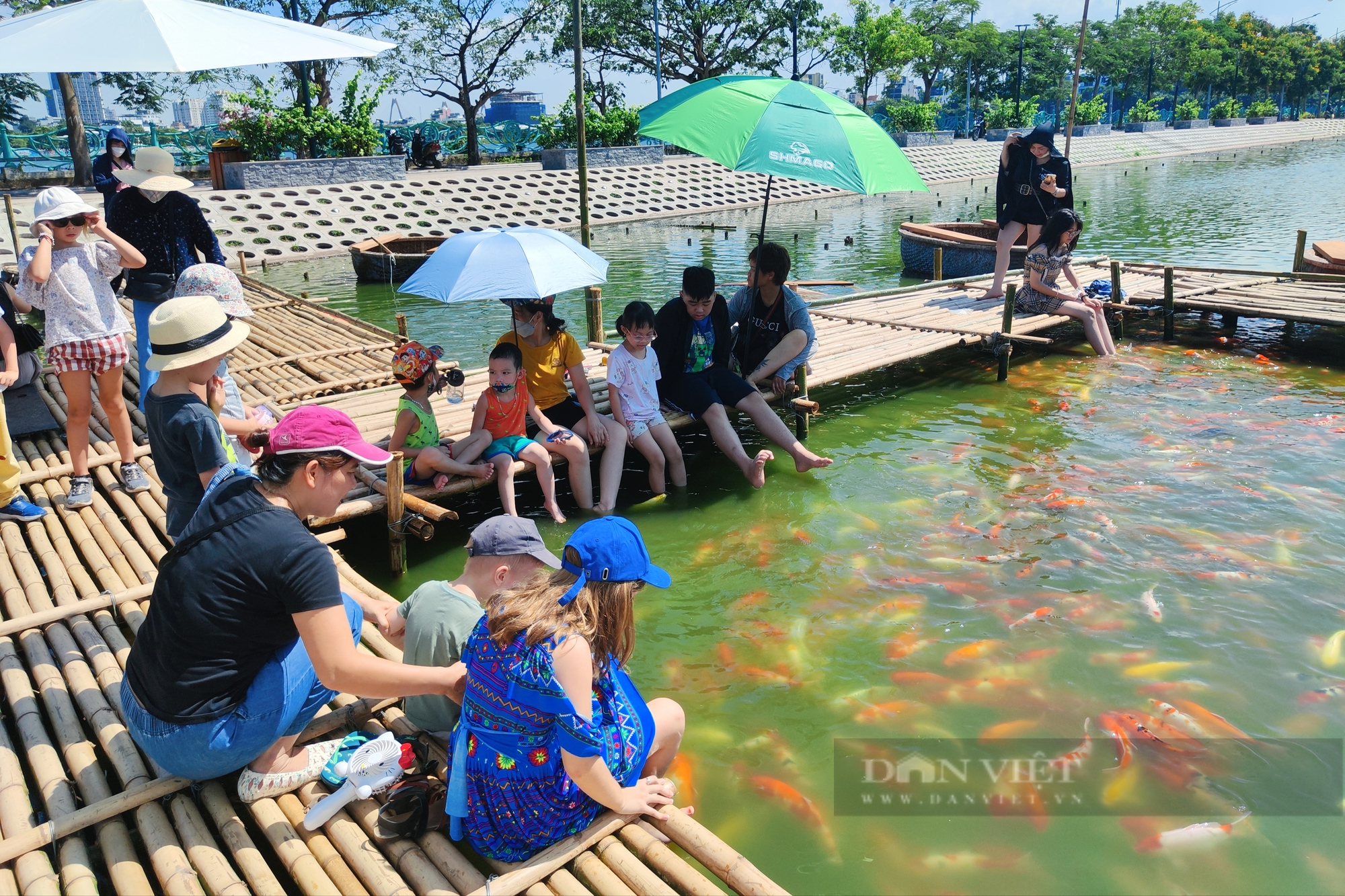 Nắng như &quot;đổ lửa&quot;, nhiều người vẫn đổ về hồ Tây ngắm cá Koi - Ảnh 11.