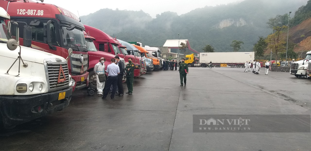 Nông sản góp công vào kim ngạch xuất nhập khẩu qua Lạng Sơn ước đạt gần 2,3 tỷ USD - Ảnh 2. Nông sản góp công vào kim ngạch xuất nhập khẩu qua Lạng Sơn ước đạt gần 2,3 tỷ USD - Ảnh 2.