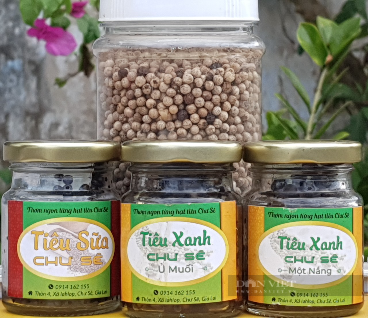 Bí quyết giữ vườn tiêu xanh mướt của lão nông ở Gia Lai - Ảnh 6.