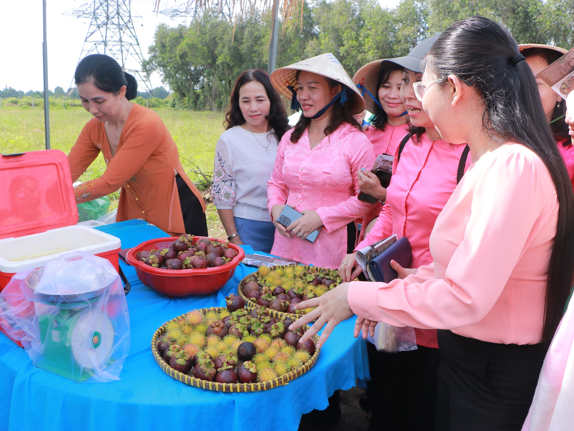 TP.HCM: Nâng cao hiệu quả sử dụng đất nông nghiệp, kết hợp du lịch sinh thái, tăng thu nhập cho nông dân - Ảnh 3.