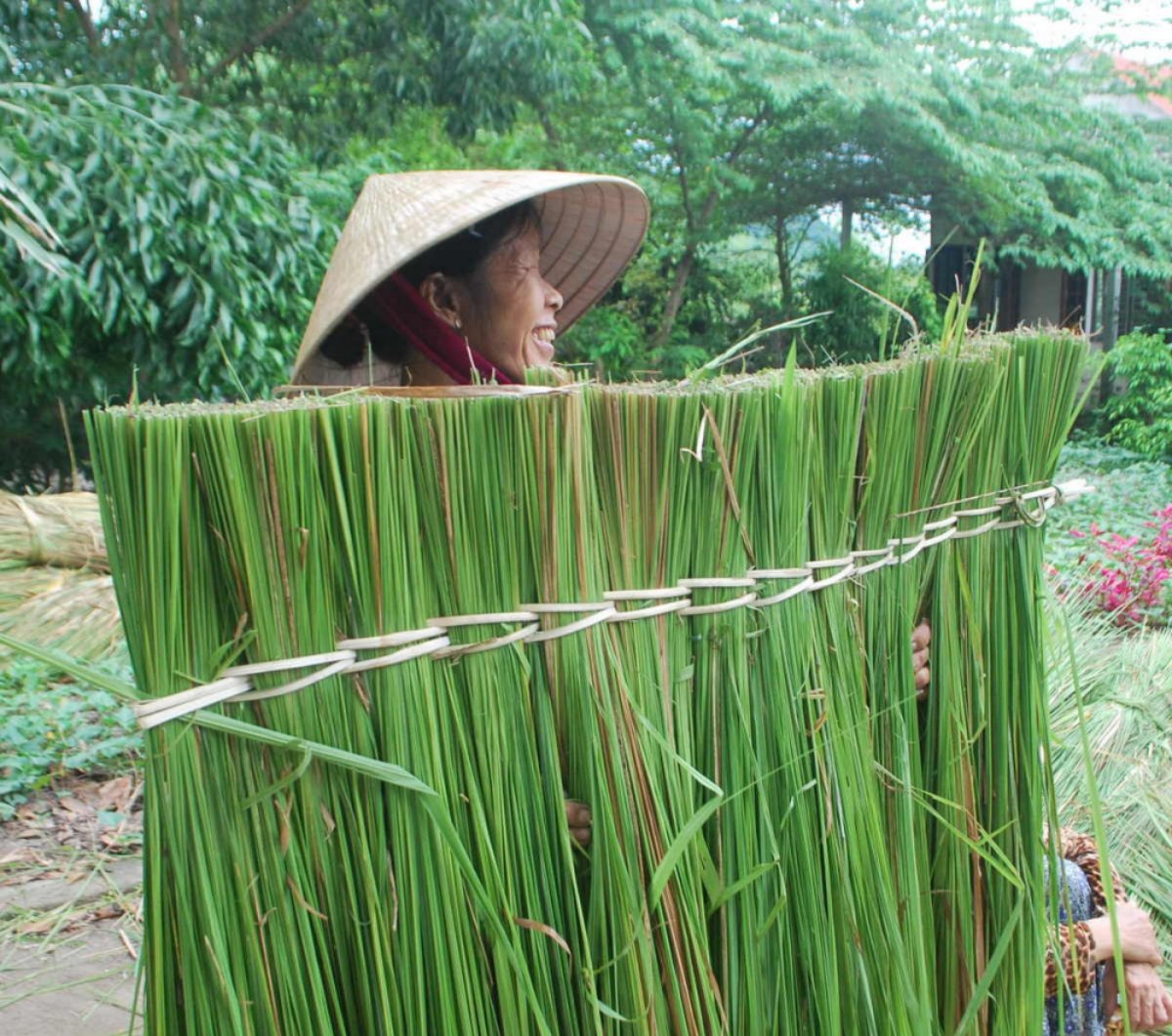Kể chuyện làng: Nhớ mùi nhà tranh vách đất - Ảnh 3.