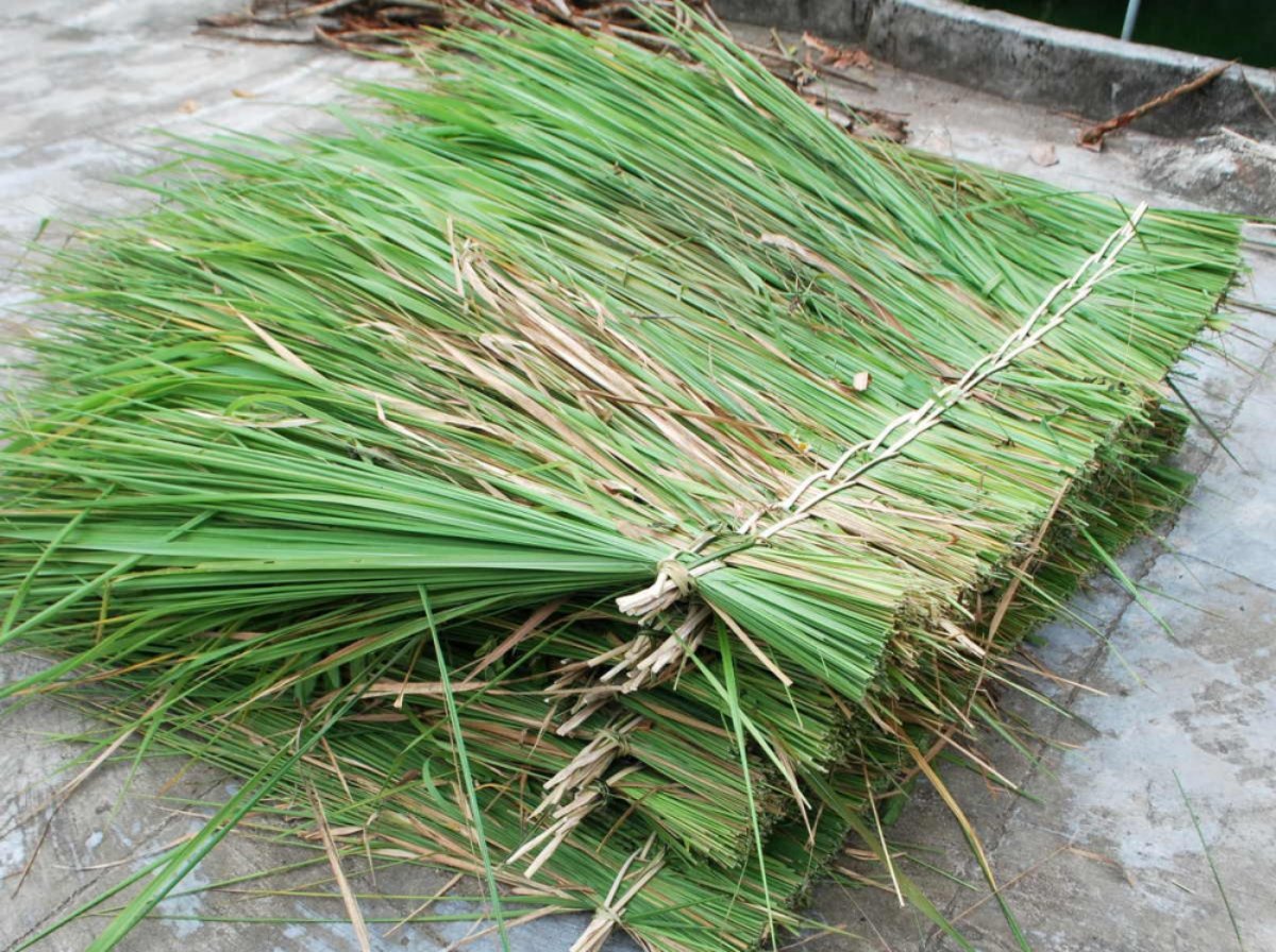 Kể chuyện làng: Nhớ mùi nhà tranh vách đất - Ảnh 2.