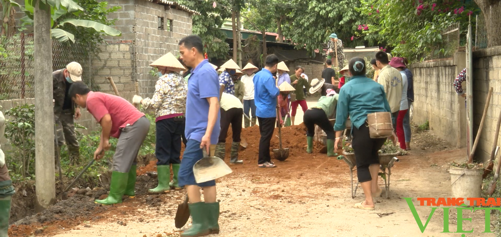 Hội viên, nông dân xây dựng bản, tiểu khu NTM kiểu mẫu - Ảnh 2.