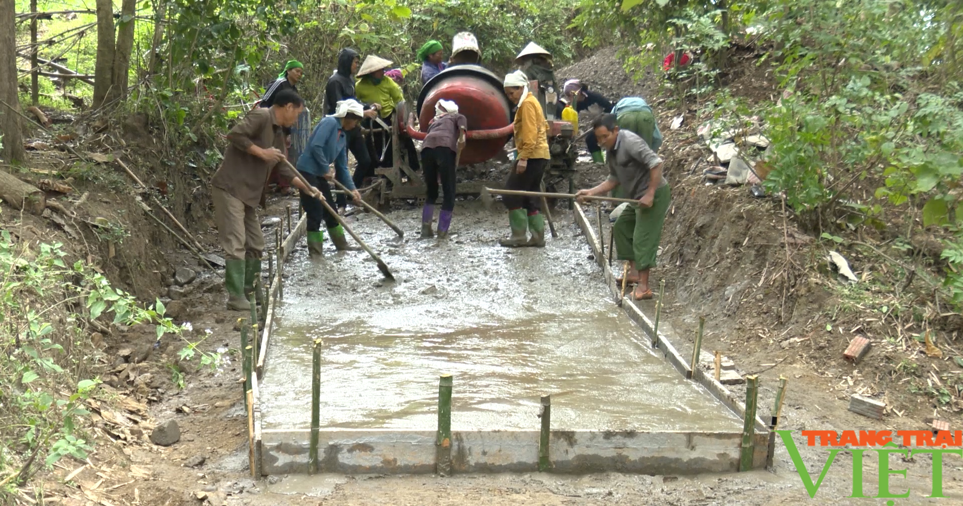 Hội viên, nông dân xây dựng bản, tiểu khu NTM kiểu mẫu - Ảnh 3.