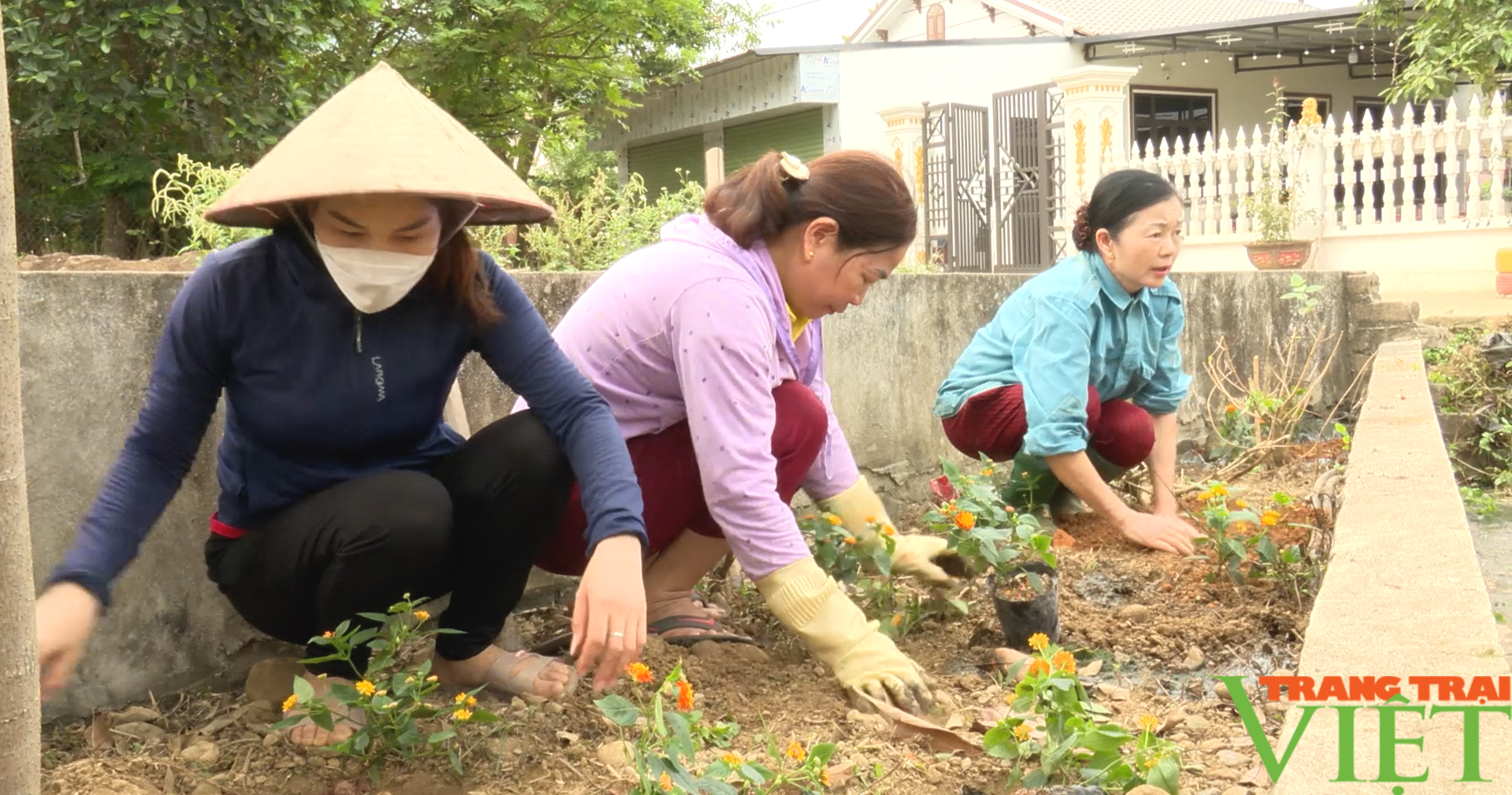 Hội viên, nông dân xây dựng bản, tiểu khu NTM kiểu mẫu - Ảnh 6.