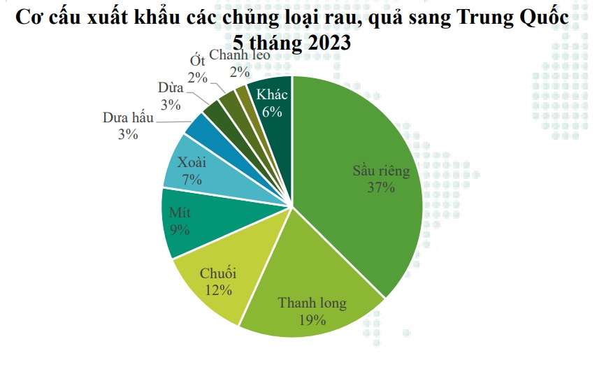 5 loại trái cây Việt Nam được Trung Quốc nhập khẩu nhiều nhất - Ảnh 2. 5 loại trái cây Việt Nam được Trung Quốc nhập khẩu nhiều nhất - Ảnh 2.