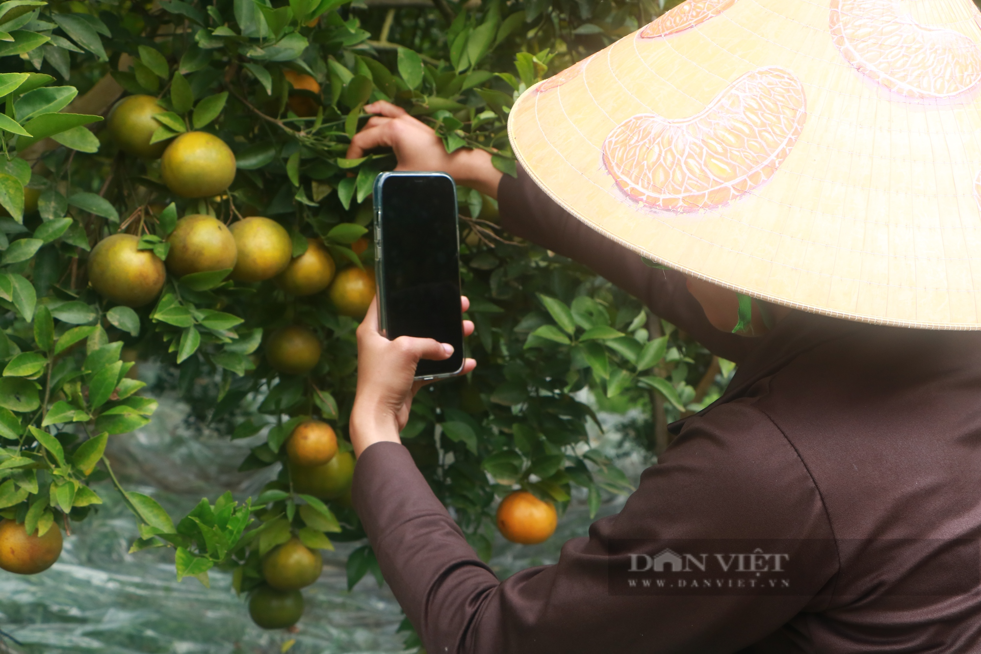 Người trẻ làm nông dân (bài cuối): Người trẻ làm nông và câu chuyện nhân nguồn lực của nông nghiệp nước nhà  - Ảnh 6.