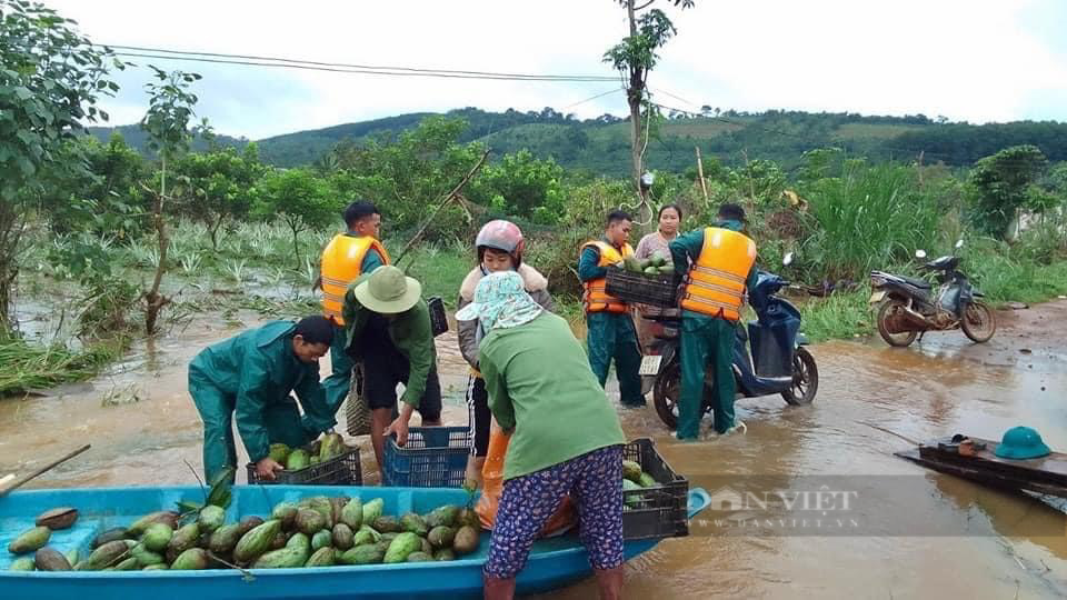 Một người đàn ông bị mất tích do mưa bão ở Đắk Nông - Ảnh 2.