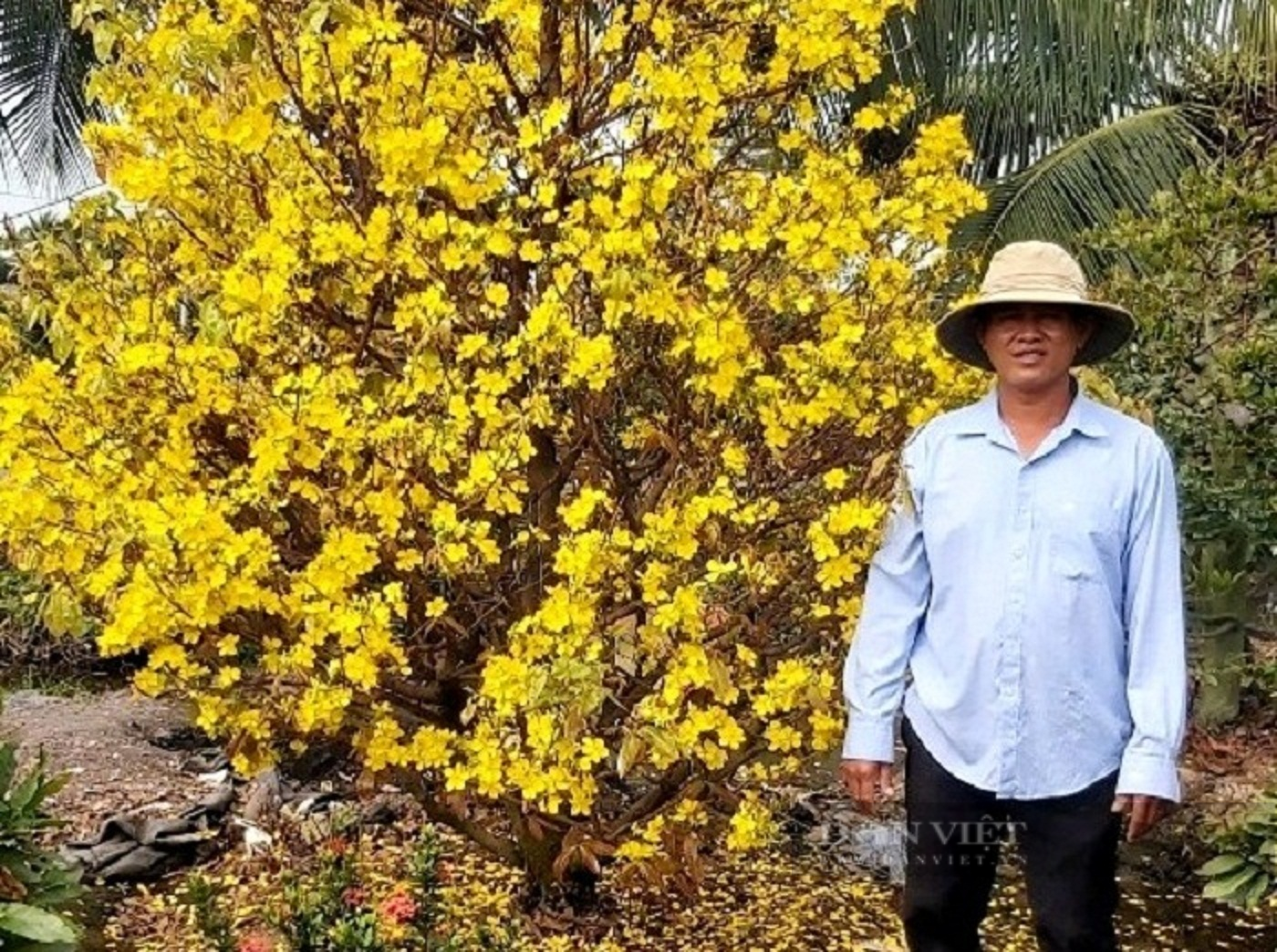 Huyện Bình Chánh tăng cường giải pháp phát triển những làng nghề giúp nông dân trở thành tỷ phú - Ảnh 1.