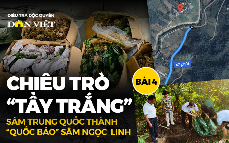 Những đêm trắng lùng bắt sâm lậu giá rẻ (Bài 4) - Ảnh 1.