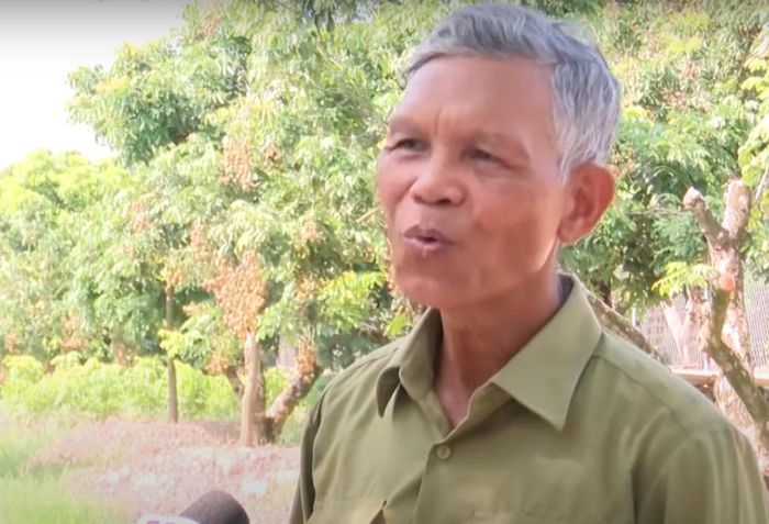 Nhãn cùi cổ là thứ nhãn gì mà cứ đến vụ thu hoạch là nườm nượp khách tới vườn của lão nông Hưng Yên này - Ảnh 1.