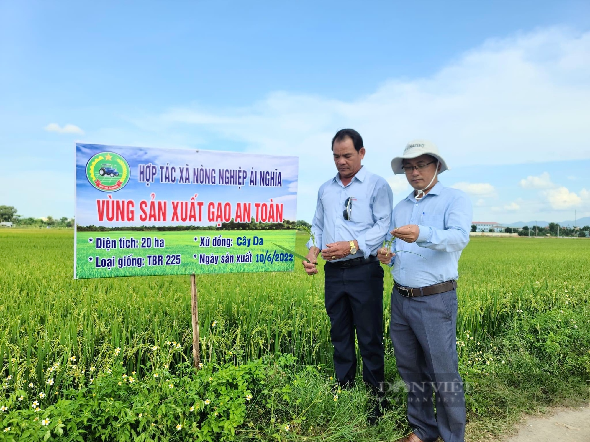 Quảng Nam là Giám đốc Hợp tác xã có doanh thu 30 tỷ đồng/năm - Ảnh 2.