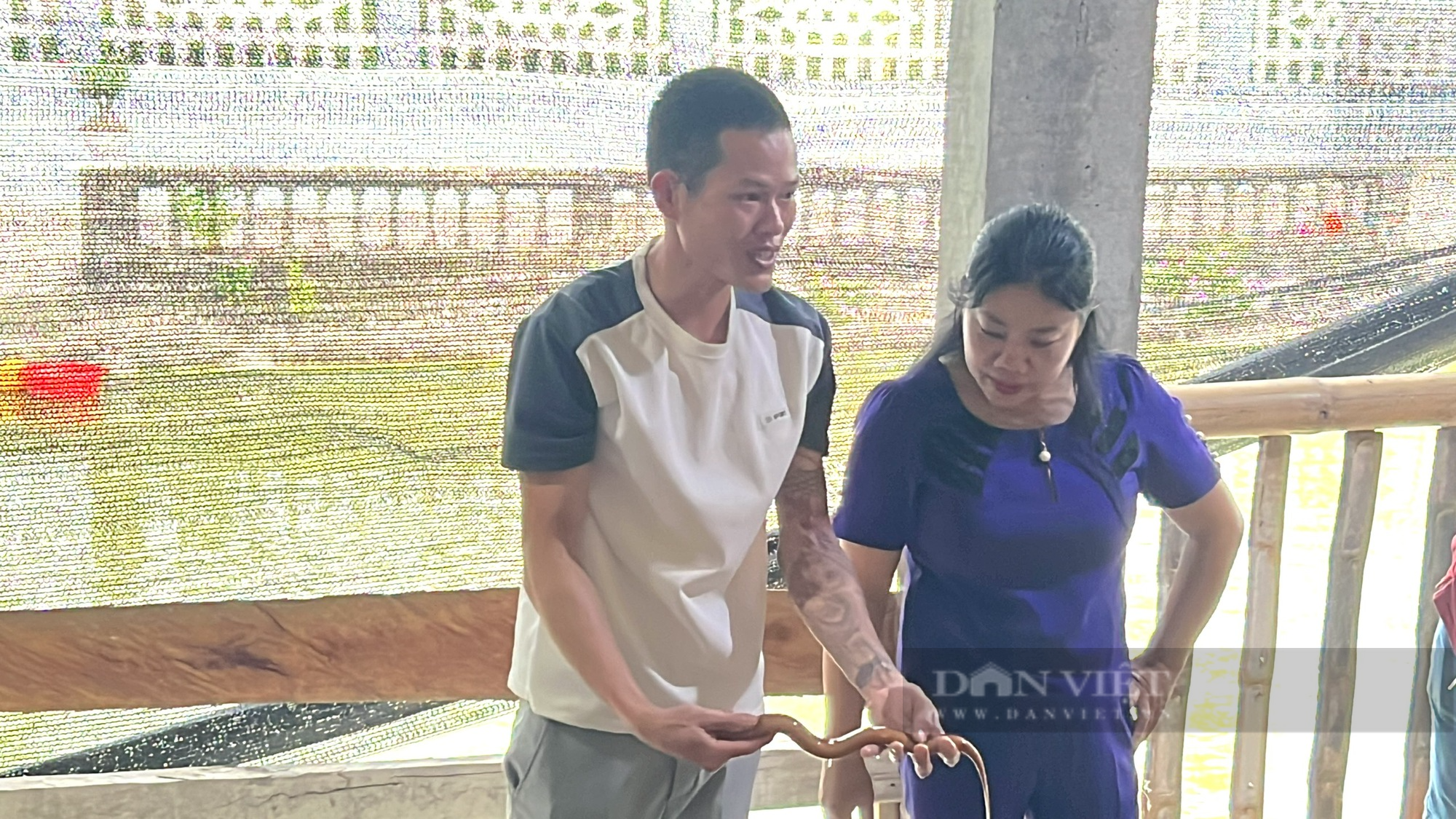 Thanh niên bỏ nghề ốp đá về quê nuôi lươn không bùn, tháng bỏ túi 15 triệu đồng - Ảnh 1.