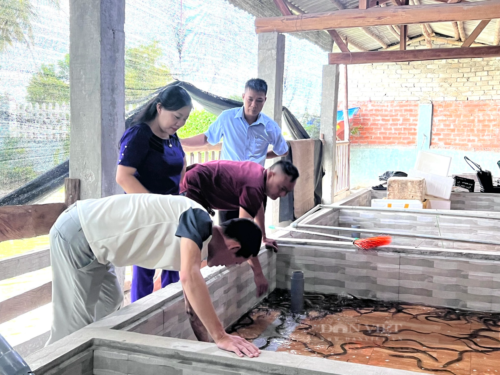 Thanh niên bỏ nghề ốp đá về quê nuôi lươn không bùn, tháng bỏ túi 15 triệu đồng - Ảnh 2.