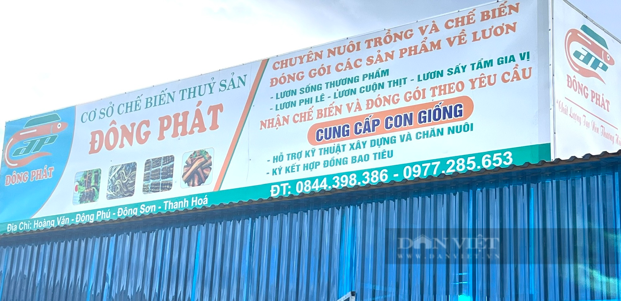 Thanh niên bỏ nghề ốp đá về quê nuôi lươn không bùn, tháng bỏ túi 15 triệu đồng - Ảnh 5.