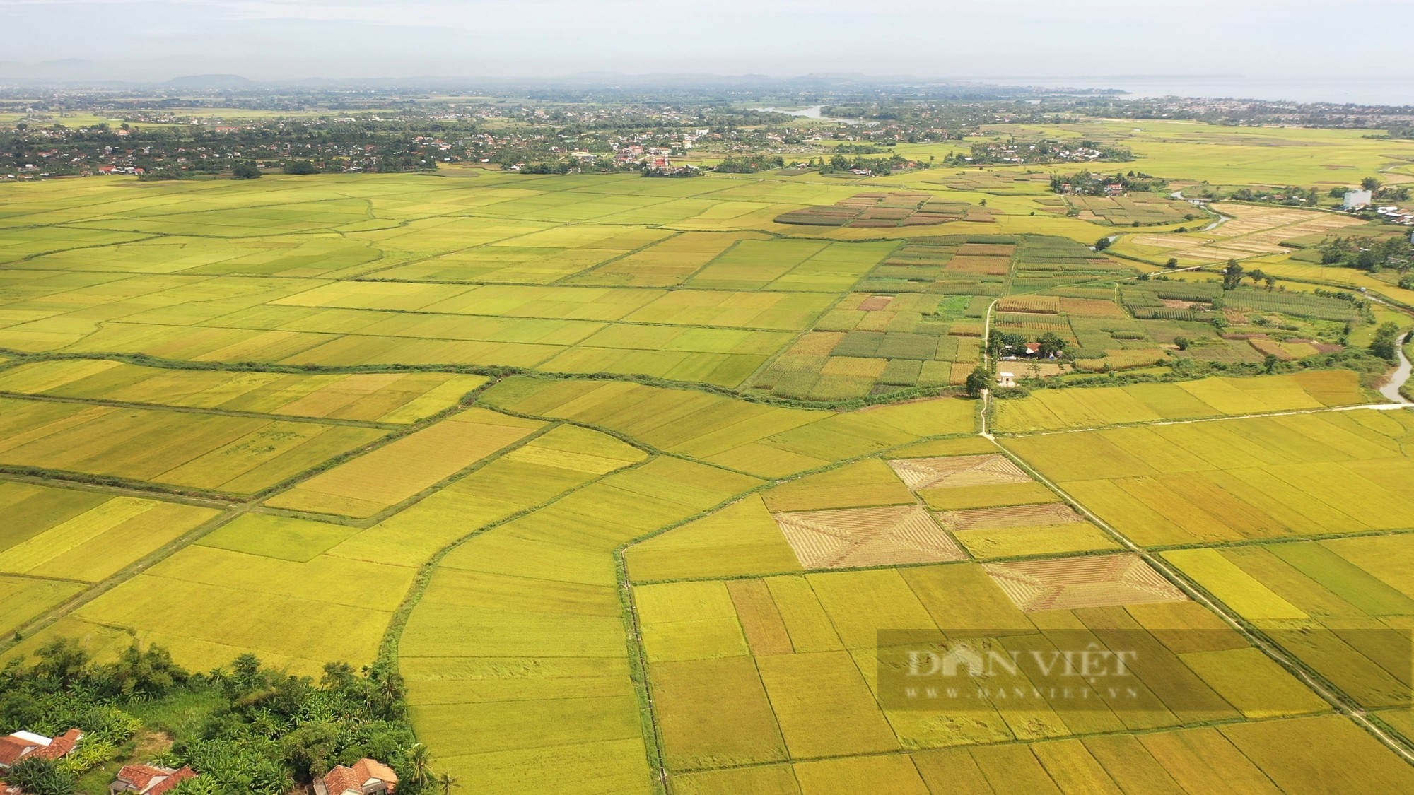 Chuyển đổi số -  nền tảng quan trọng để huyện Mộ Đức (Quảng Ngãi) hướng đến nông thôn mới thông minh - Ảnh 6.
